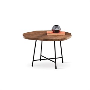 {{photo.Alt || photo.Description || 'Стол журнальный ENZA HOME WOODY EH24838'}}